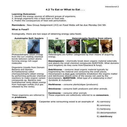 4.2 To Eat Or What To Eat