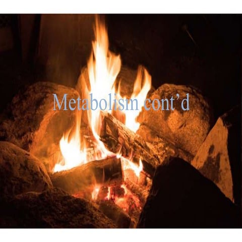 4 5-microbial nutrition and culture (2)