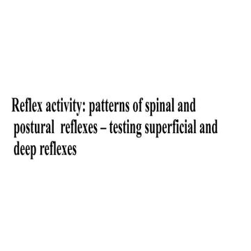 Reflexes | PPTX