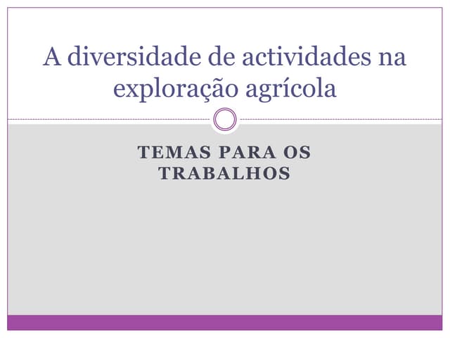 4. a diversidade de actividades na ...