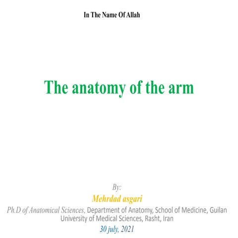 4  arm region and cubital