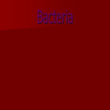 4 bacteria