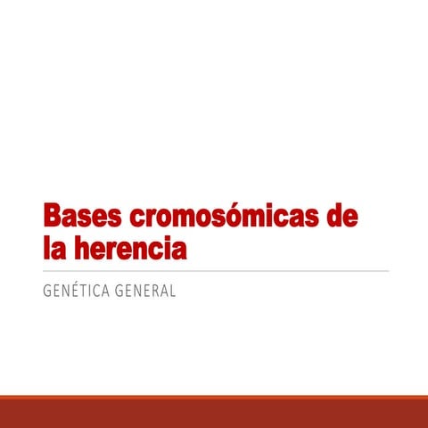4-Bases cromosÃ³micas de la herencia.pdf