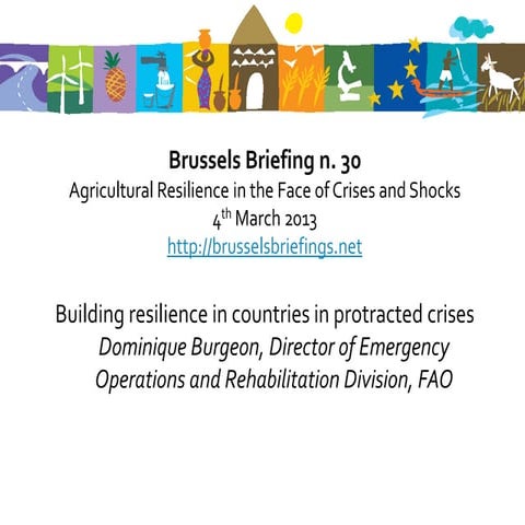 30thBrussels Briefing on Agricultural Resilience- 4. Dominique Burgeon, Build...