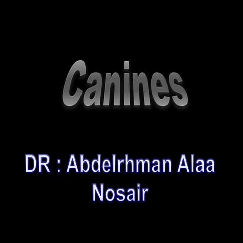  canines