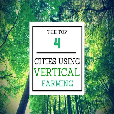4 Cities Using Vertical Farming