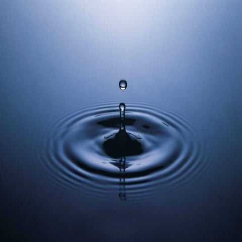 Coen van Veenendaal - Alpe d'Huzes