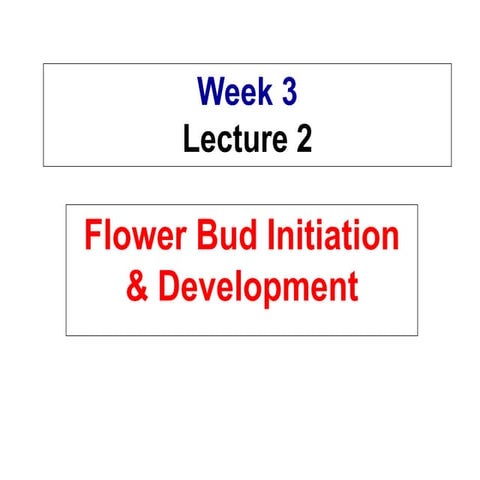 4-Concept of fruit bud formation.ppt