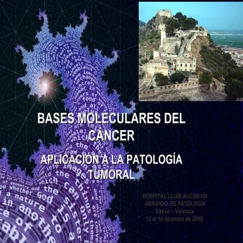 Conversion De Protooncogenes En Oncogenes