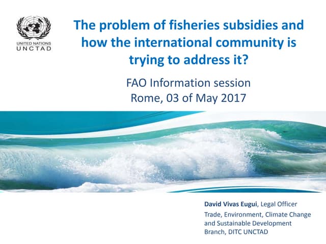 The problem of fisheries subsidies and how the international community is trying to address it?