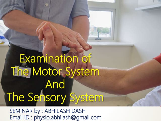 Neurological examination - Upper And Lower Limb.pdf