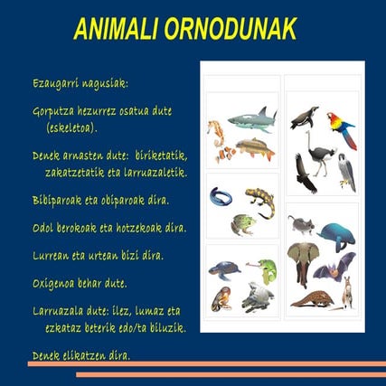 3.LH. 4.GAIA. ANIMALI ORNODUNAK