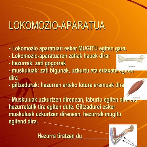 4. gaia lokomozio aparatua