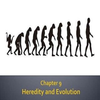 4. heredity and evolution