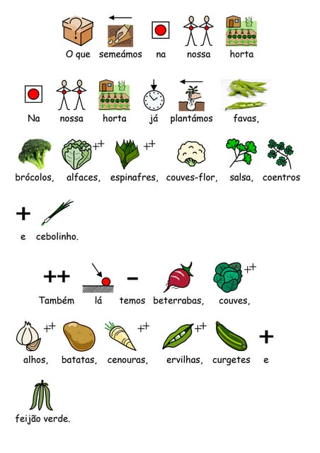 4 horta4 - sementeira