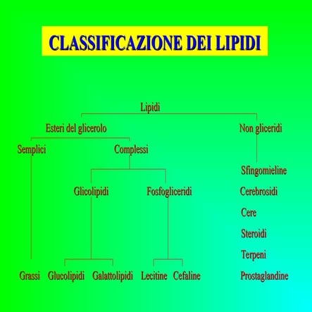 Comprehensive Overview of Biological Macromolecules: Focus on Lipids ...
