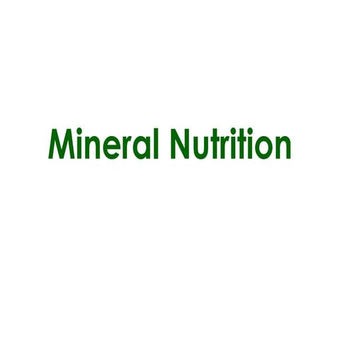 4 mineral nutrition