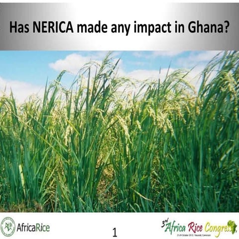 Th4_Has NERICA made any impact in Ghana? | PPTX