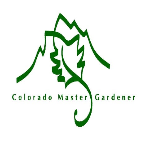 4 Mulches And Practical Turf