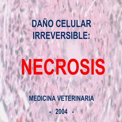 4-necrosis.pptjjjjjjjjjjjjjuuuuuuuuuuuuu