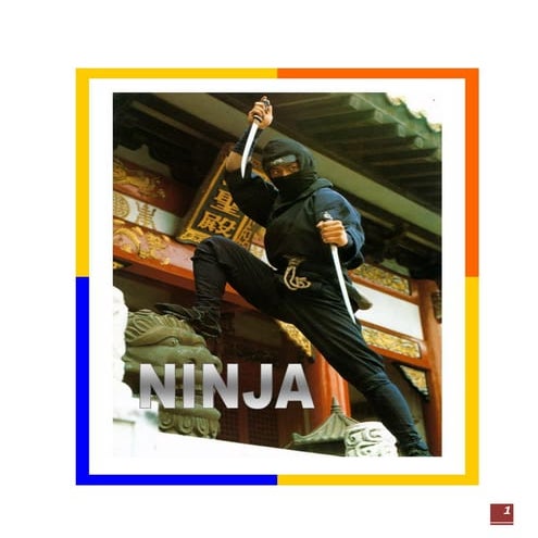 Ninja