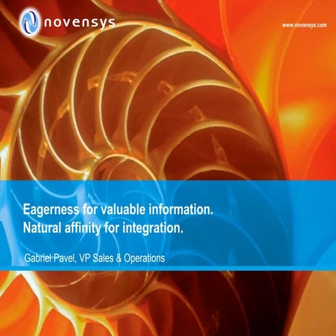 4. novensys oracle day_2010_gabriel_pavel_2