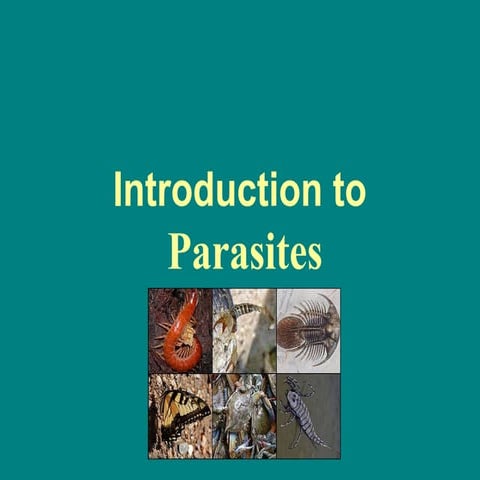 Curated visual reference: Gallery Detail: Introduction To Parasites And New Infections