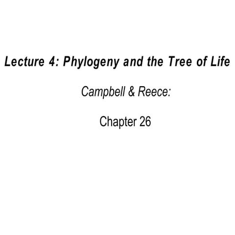 4 phylogeny-ch26