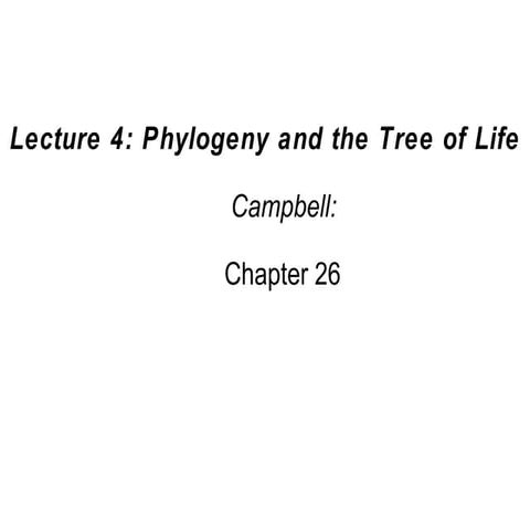 4 phylogeny-ch26
