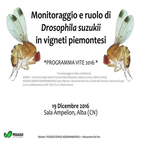 Drosophila suzukii, sintomi a danni a confronto con tignole e altre cause