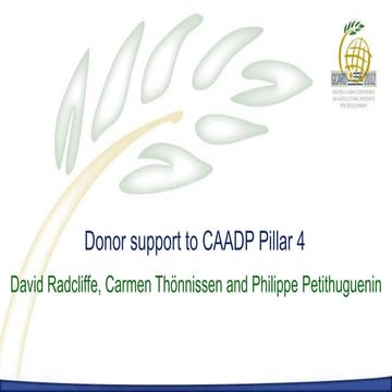 C1.1. Donor support to CAADP Pillar 4