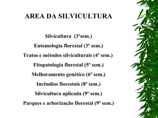 4 Silvicultura