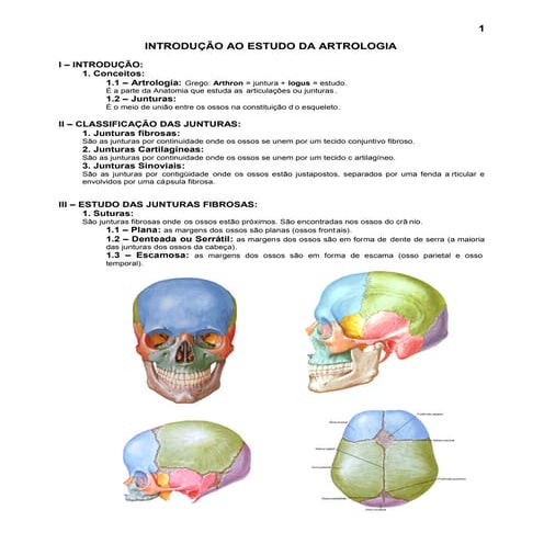 4.sistema articular