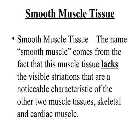 4.  smooth muscle tissue