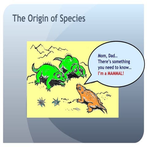 Speciation