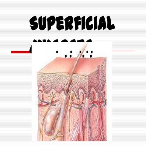 4 superficial mycoses78