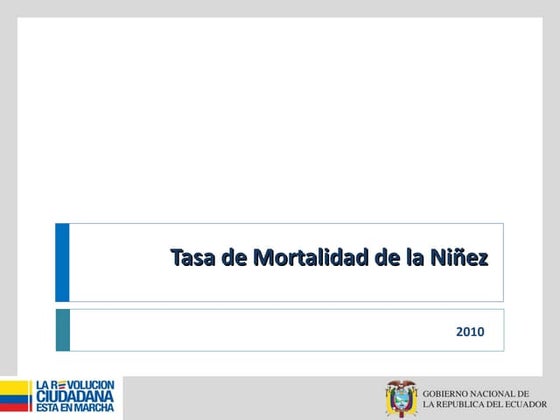 Nesdo | PDF