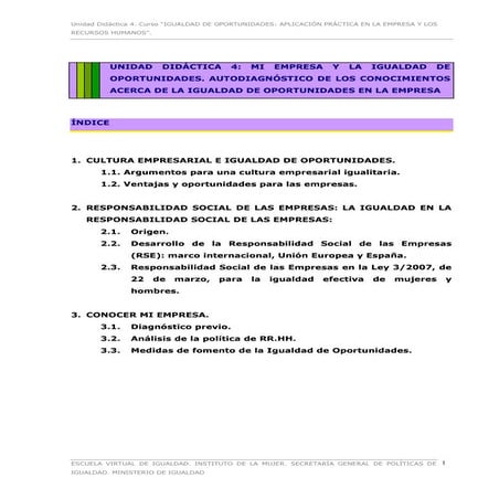 4.tema...Igualdad de Oportunidades en la Empresa. | PDF