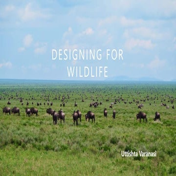 Life conservation; A study into systemic design for wildlife