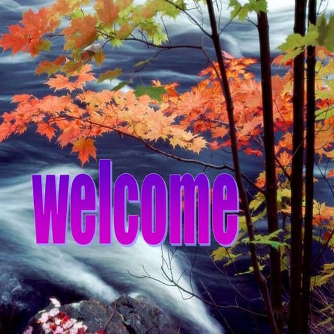 IMPACT OF ORGANIC AMENDMENTS ON SOIL QUALITY, PLANT GROWTH AND YIELD OF CROP 