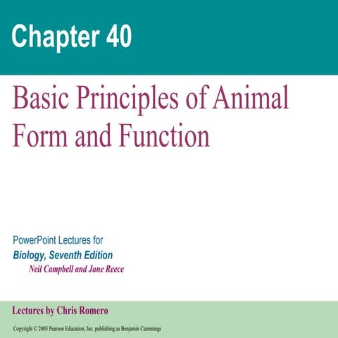 40 animalform&function text
