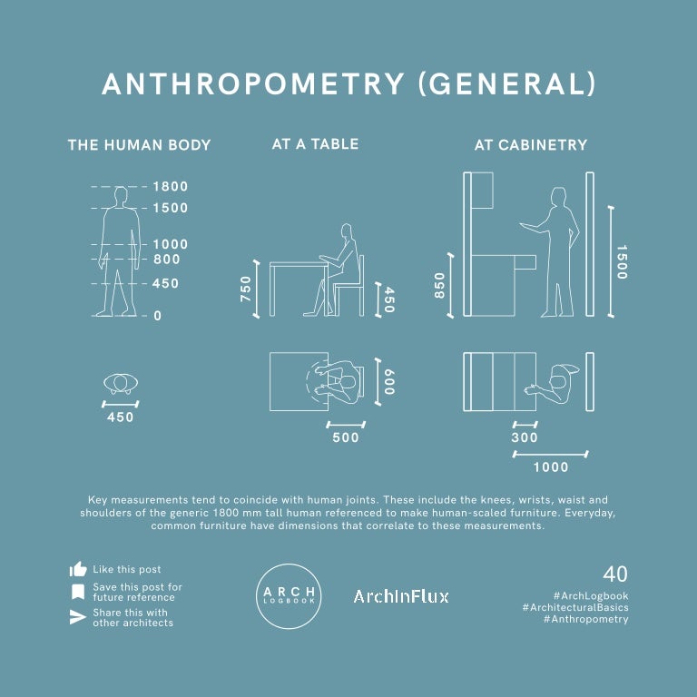 Anthropometry of Living Spaces (Infographic)