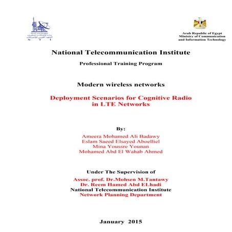 report 1 joe final w 25eran for etisalat