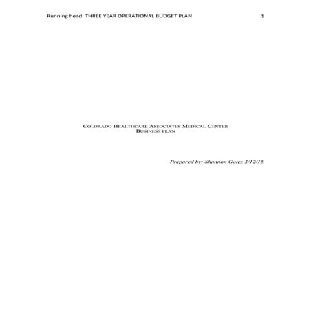 HCA410Sample Business Plan Template