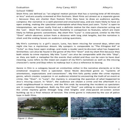 4021 amy carey evaluation