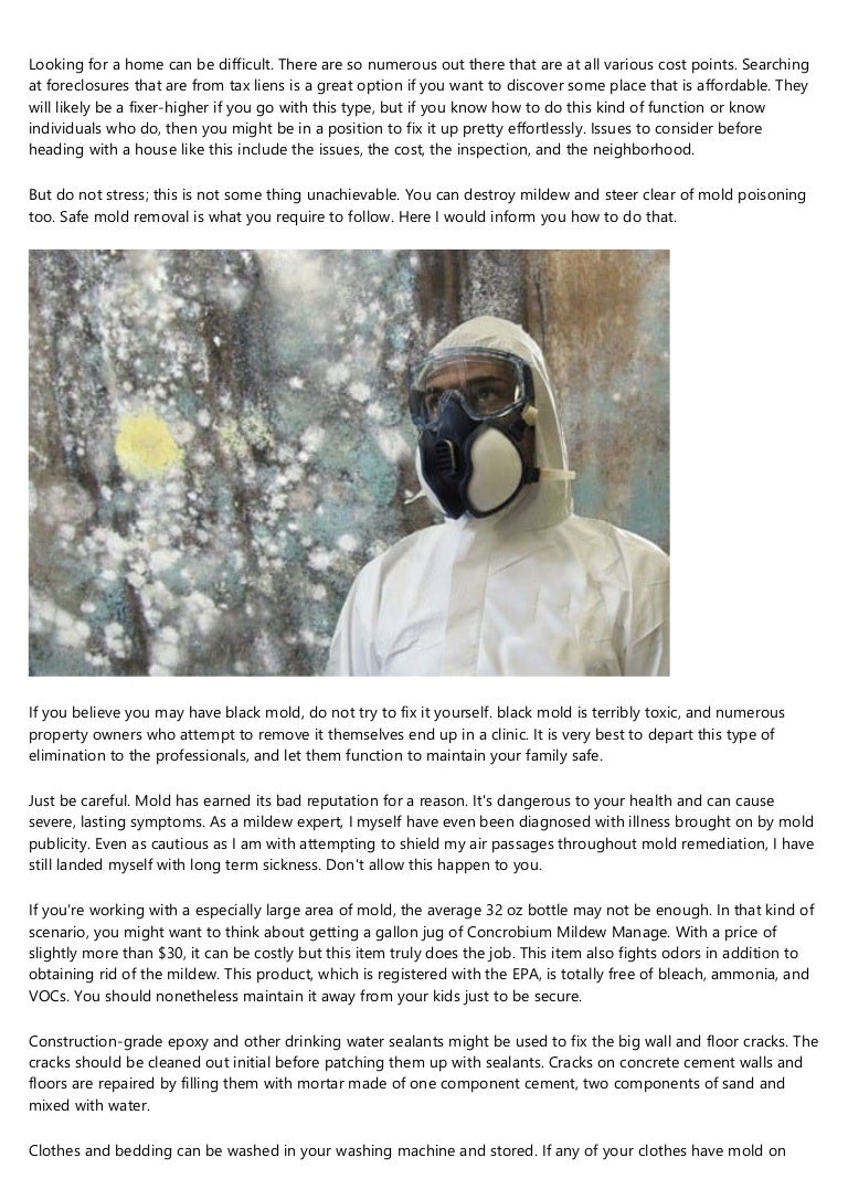 An introduction to mold removal companies near me