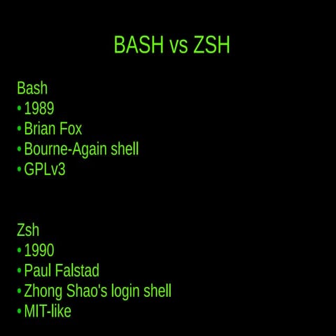 405 zsh