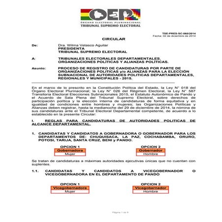 Circular sobre paridad y alternancia para las elecciones subnacionales.