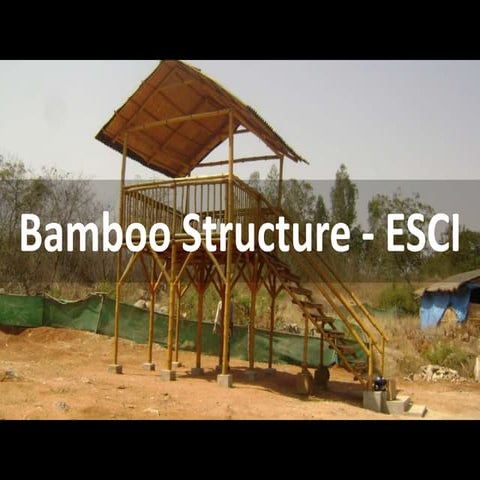Bamboo Structure on Elevated Platform | PPTX