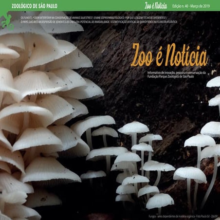 40ª edição - Zoo é Notícia 